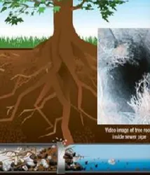 Slide of The Sewer Pros