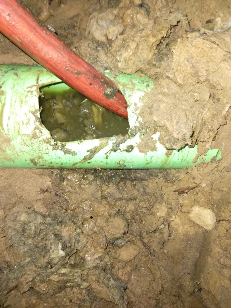 Slide of The Sewer Specialist