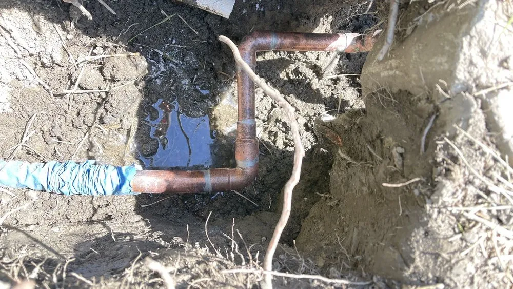 Slide of The Sewer Surgeon