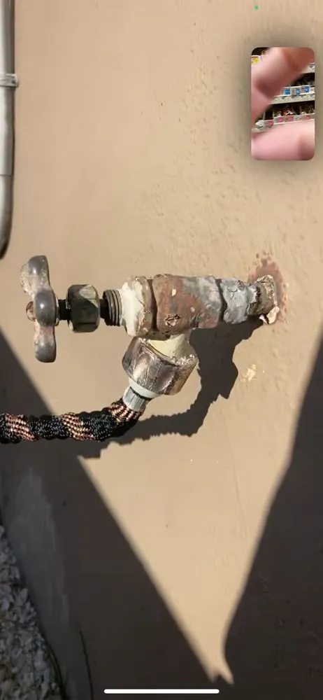 Slide of The Snake Charmer