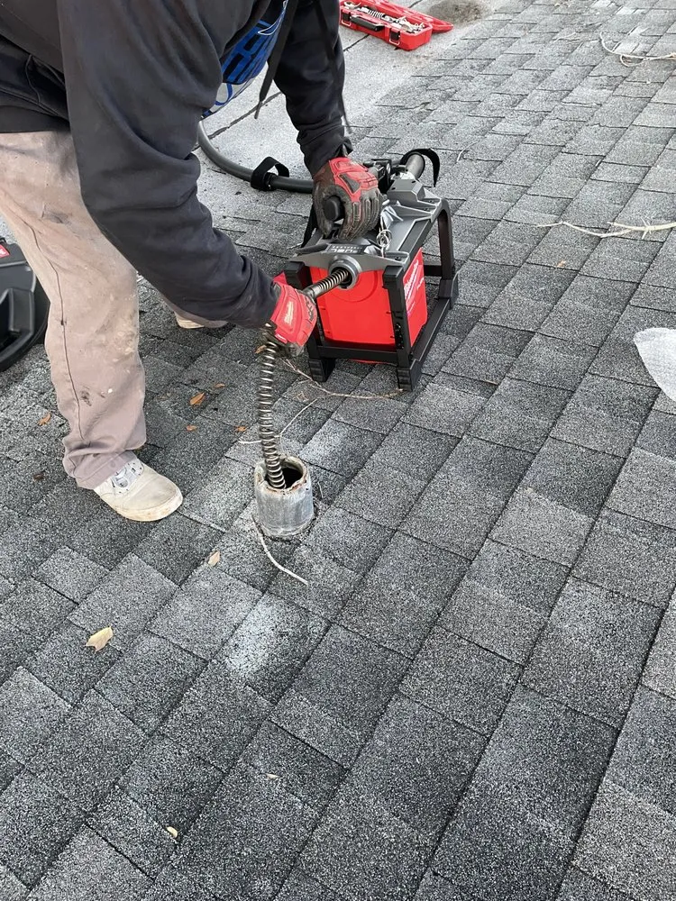 Slide of The Snake Charmer