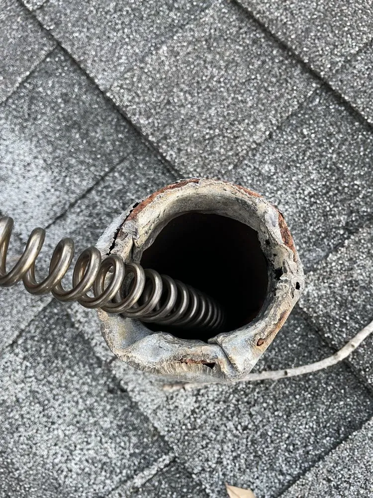 Slide of The Snake Charmer