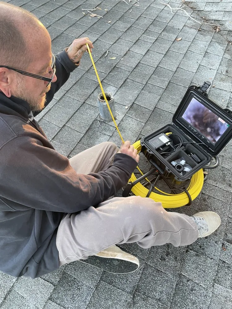 Slide of The Snake Charmer