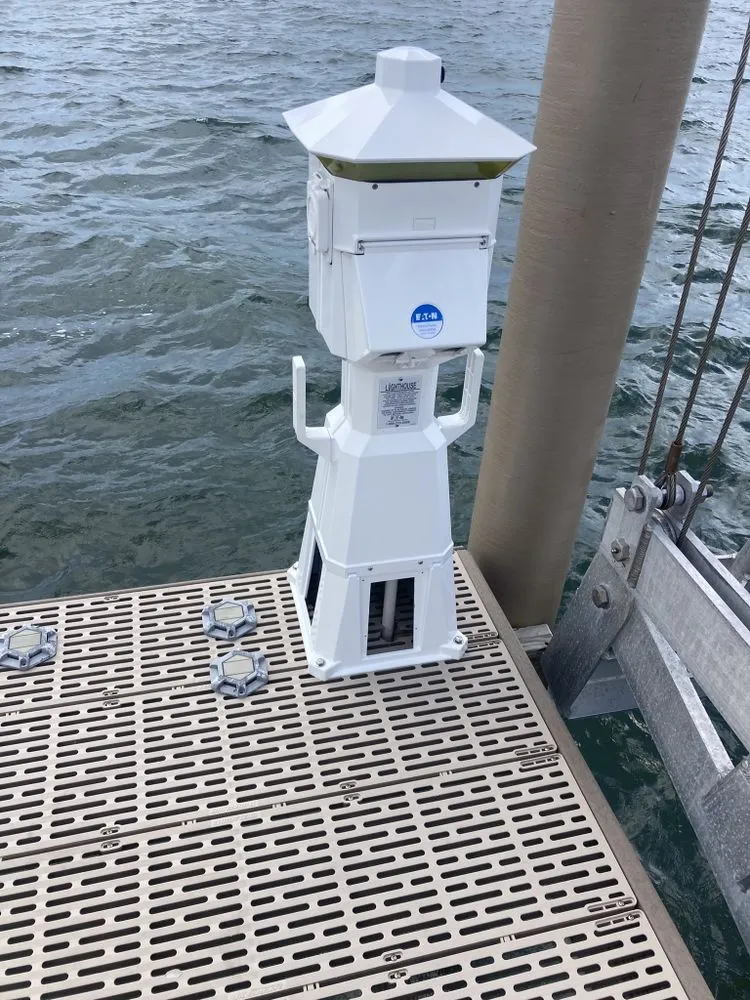 Slide of The Snake Charmer