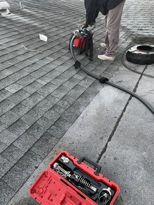 The Snake Charmer Logo