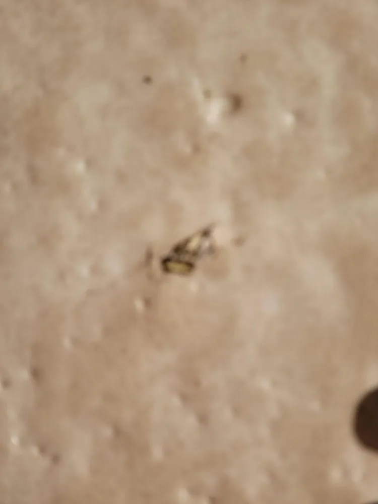 Slide of The Solar Store