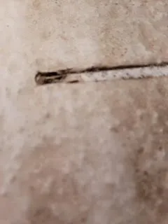 Slide of The Solar Store