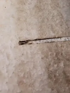 Slide of The Solar Store