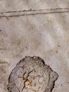 Slide of The Solar Store