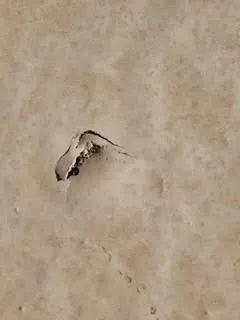 Professional drain cleaning for homes in Tucson, AZ by The Solar Store