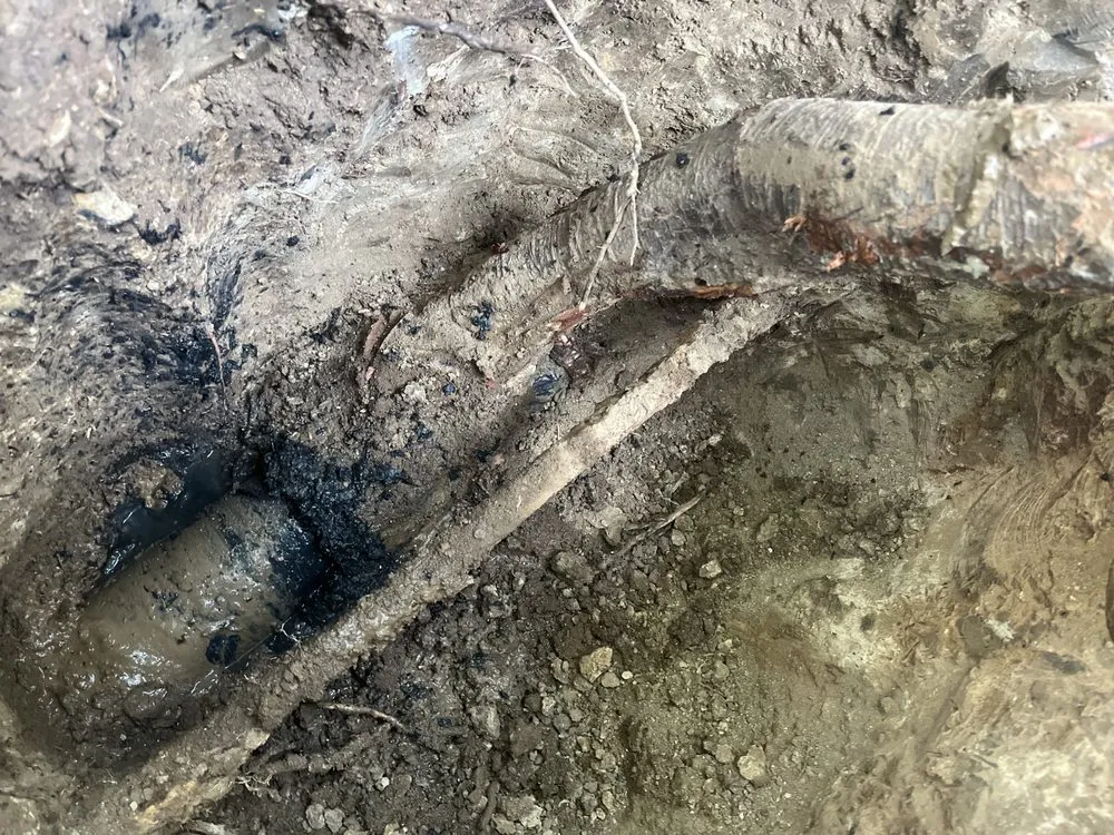 Slide of The Toilet Whisperer