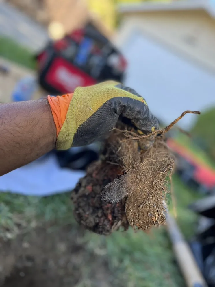 Slide of The Toilet Whisperer