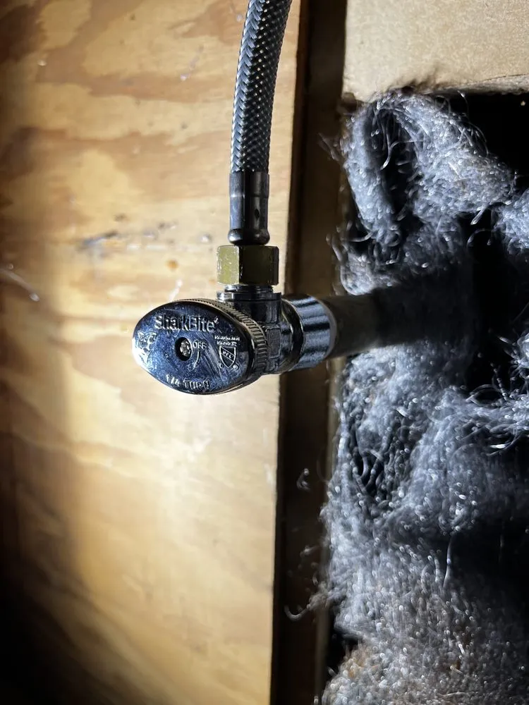 Slide of The Toilet Whisperer