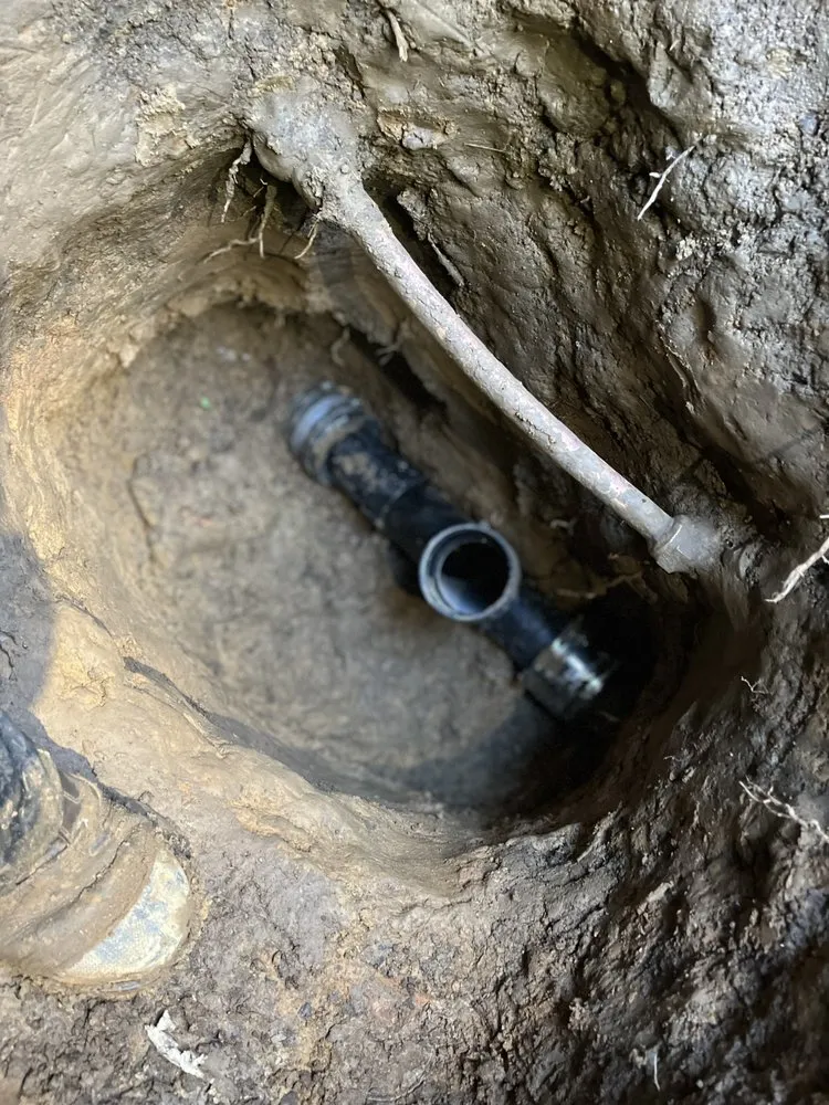 Slide of The Toilet Whisperer