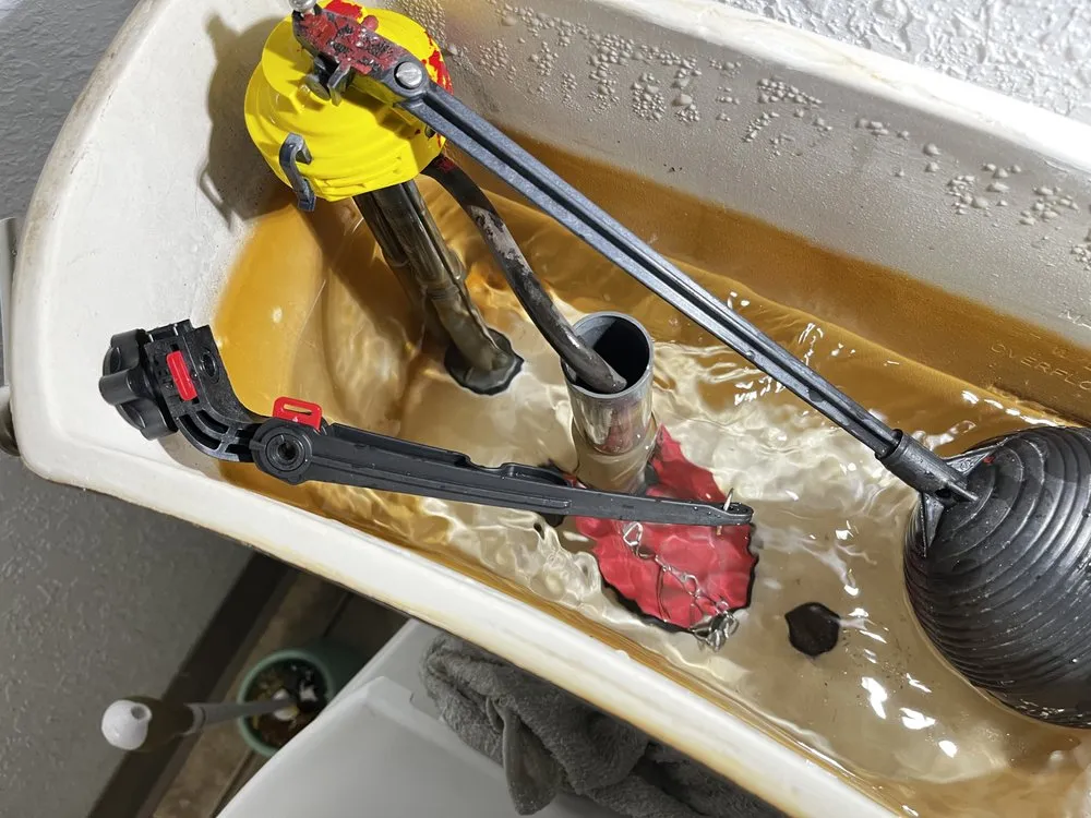 Slide of The Toilet Whisperer