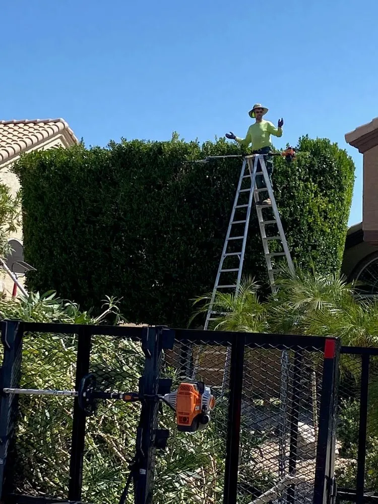 Slide of The Toolbox Pro