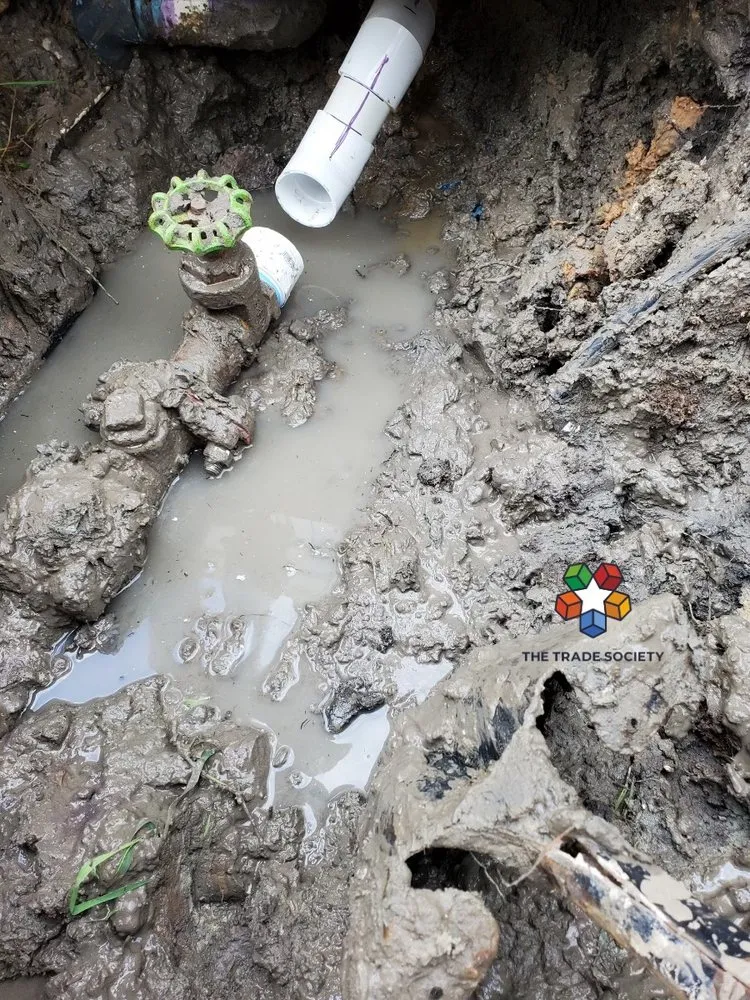 Slide of The Trade Society