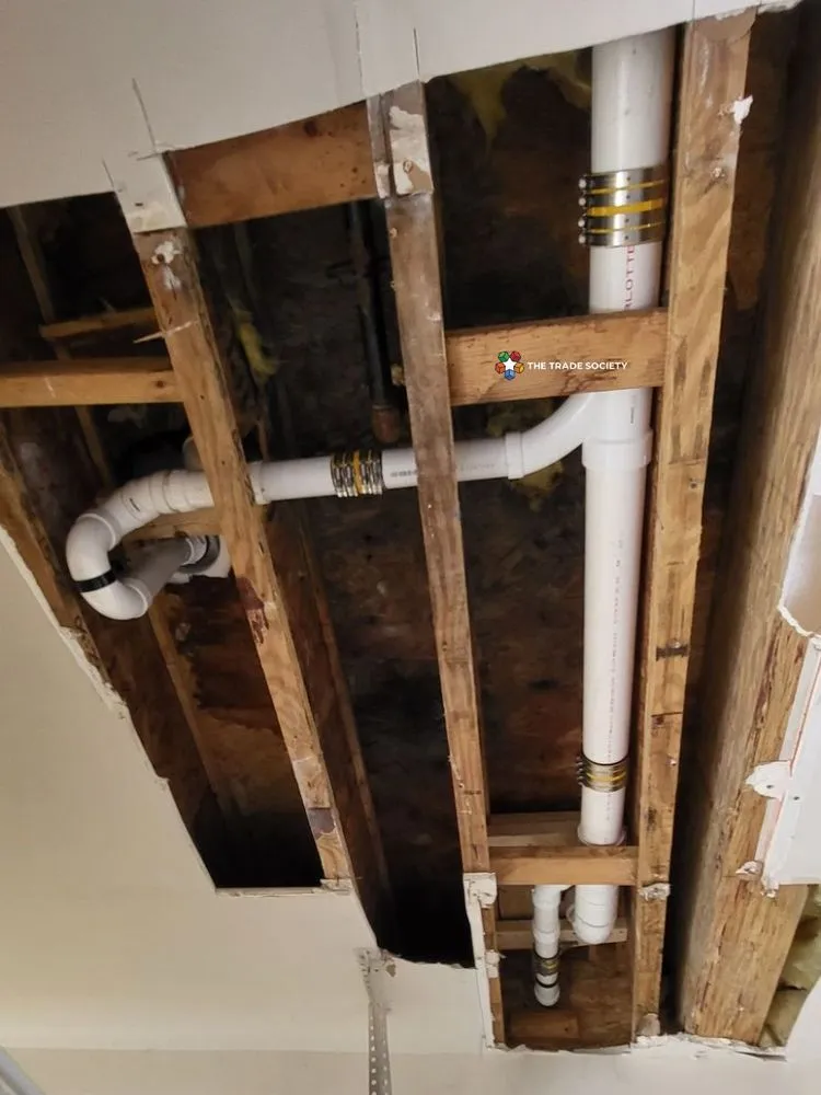 Slide of The Trade Society