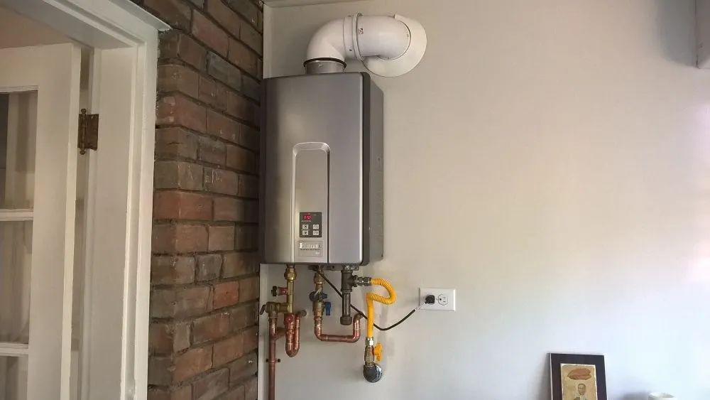 Slide of The Turd Surgeon