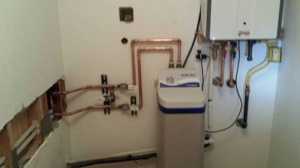 Slide of The Turd Surgeon