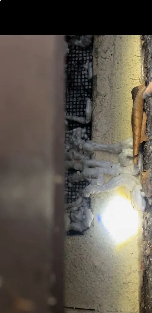 Slide of The Twin Home Experts