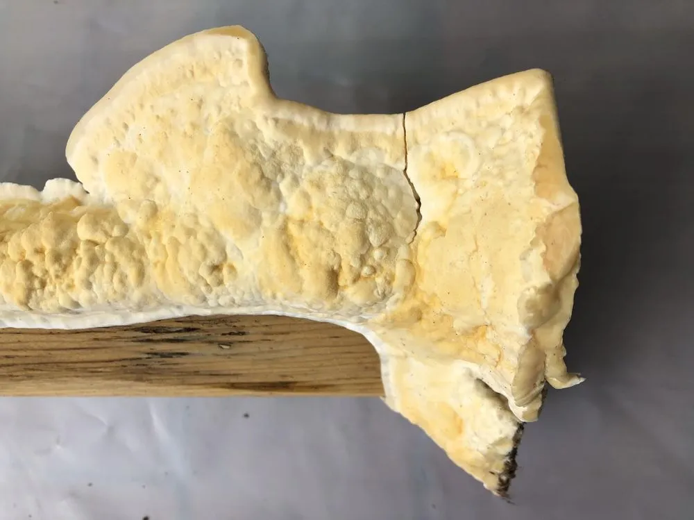 Slide of The Twin Home Experts