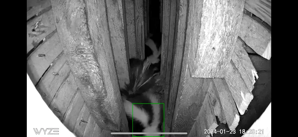 Slide of The Twin Home Experts