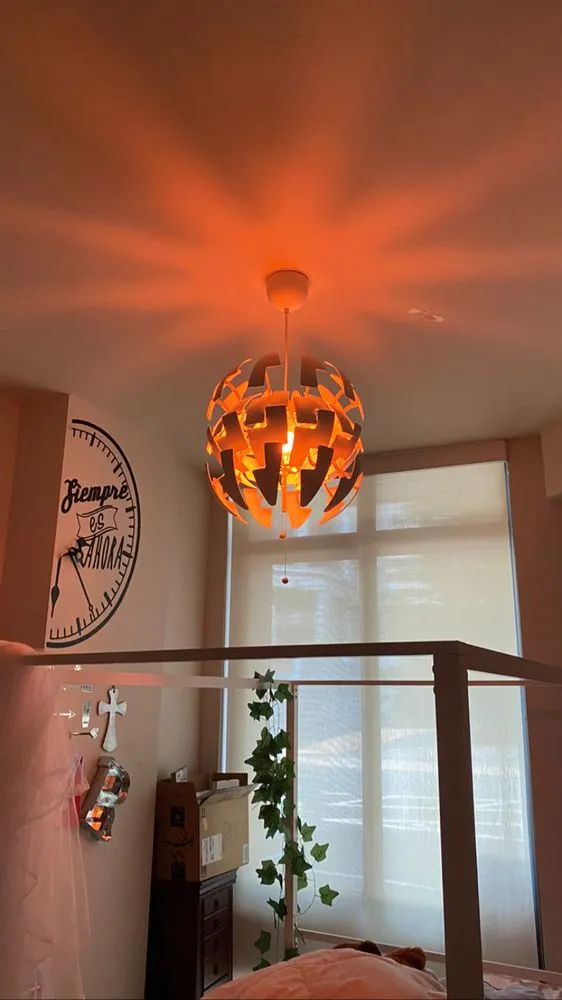 Slide of The Untouchable Handyman