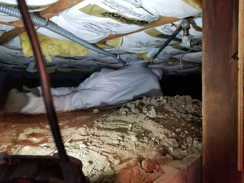 Slide of The Waterboy Leak Detection