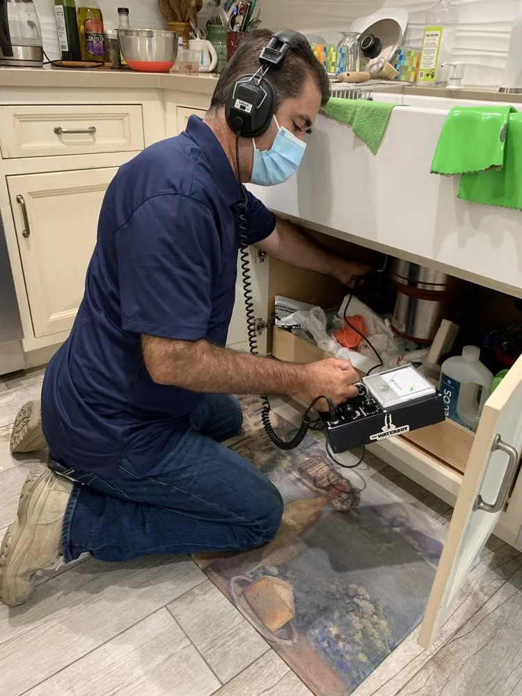 Slide of The Waterboy Leak Detection