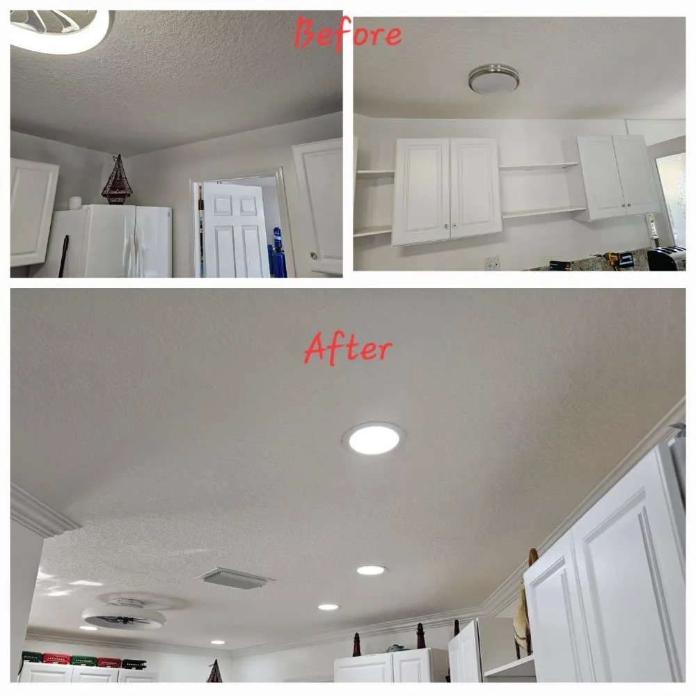 Slide of The Worker Bee