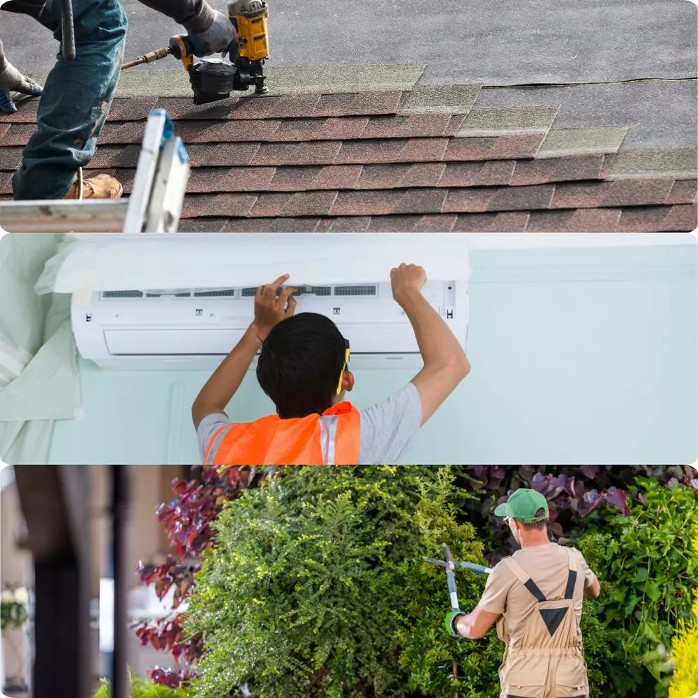 Slide of The Zon Group