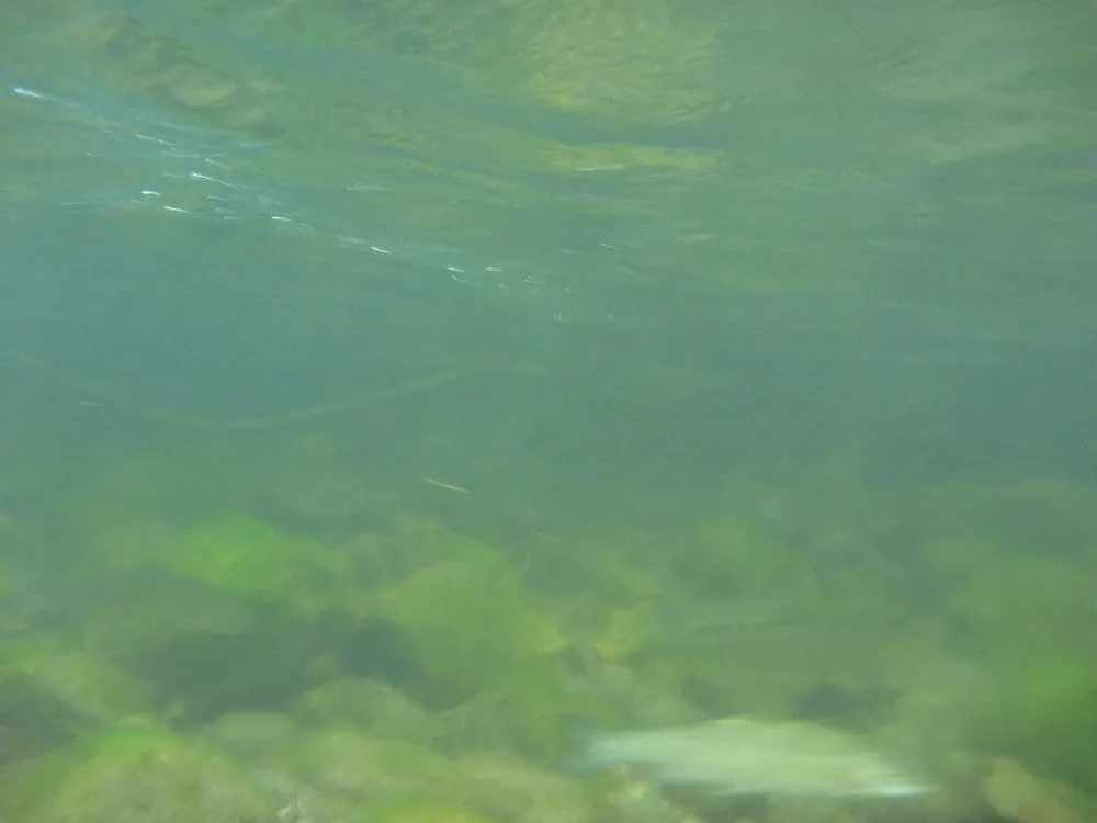 Slide of Thinking Of Granite