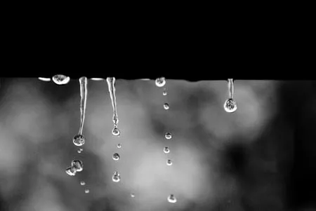 Slide of Third Coast Plumbing