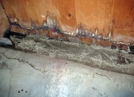 Trusted plumbing repair for homes in Alvin, TX by Third Coast Plumbing