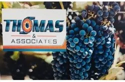 Slide of Thomas & Associates