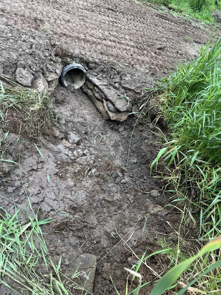 Slide of Thomas Construction