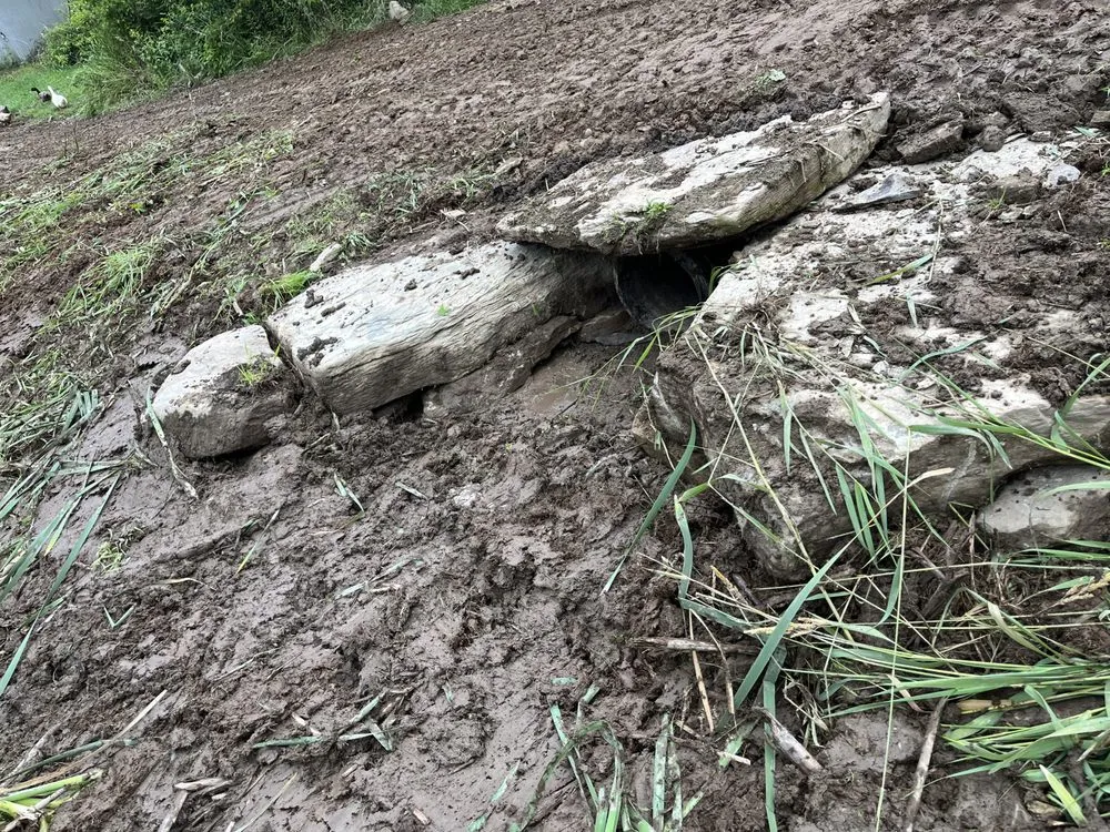 Slide of Thomas Construction