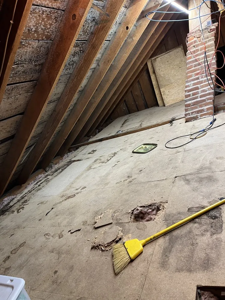 Slide of Thomas Construction