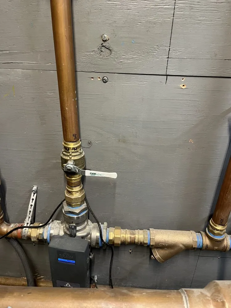 Slide of Thomas Daly