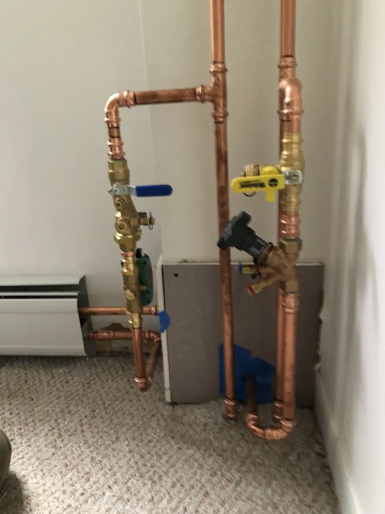 Slide of Thomas Daly