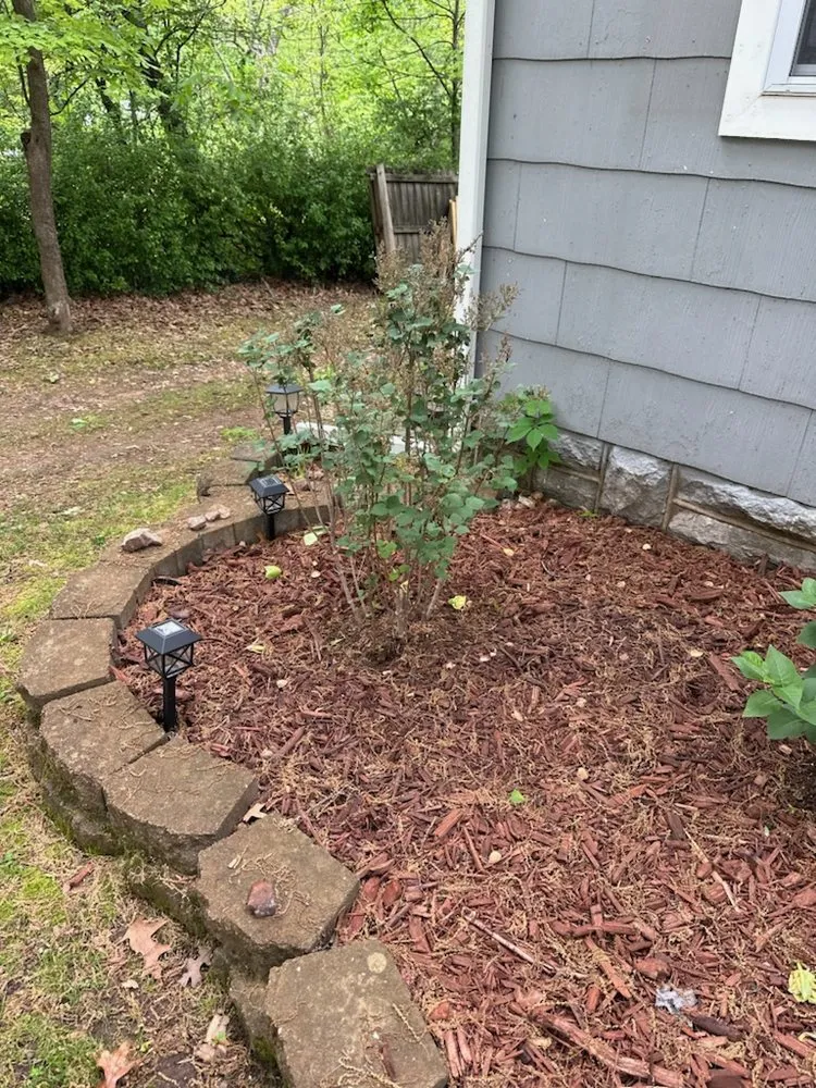 Slide of Thomas' Honey Do