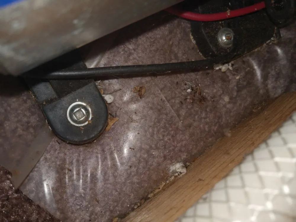 Slide of Thomas' Honey Do