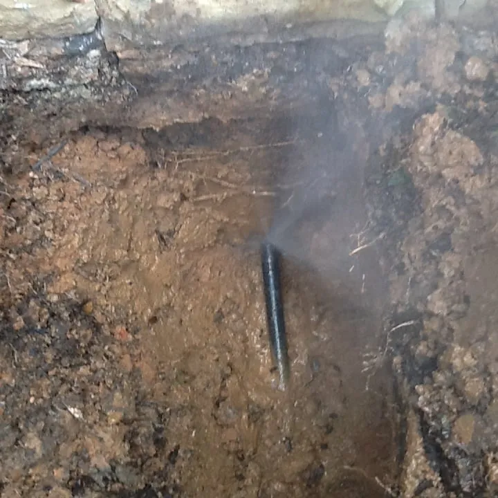 Slide of Thomas Whitaker Services