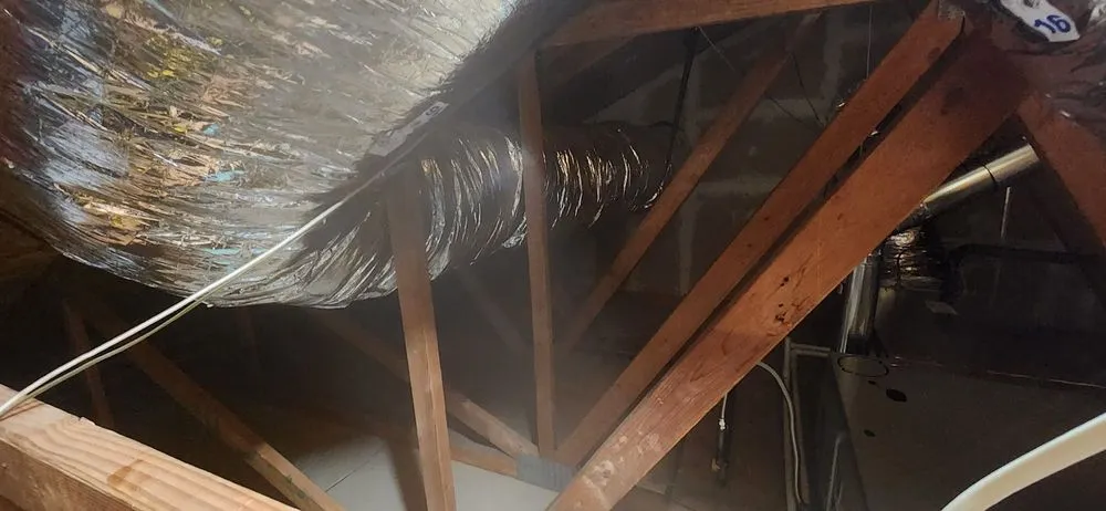 Expert plumbing repair for homes in Oceanside, CA by Thompson Plumbing Heating and Air Conditioning