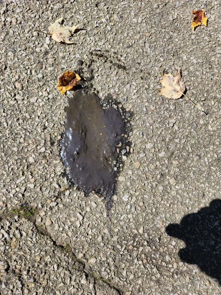 Slide of Thompson's Sewer Service