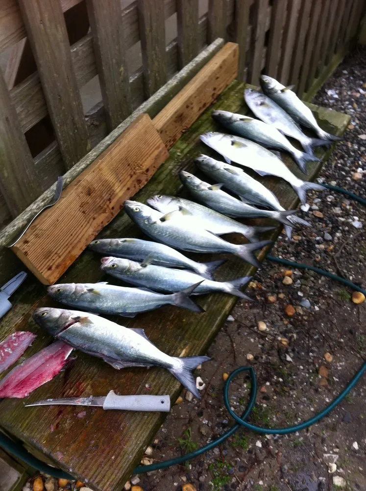 Slide of Thornapple River Plumbing