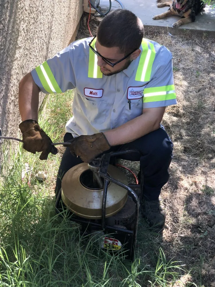 Slide of Thrifty Rooter