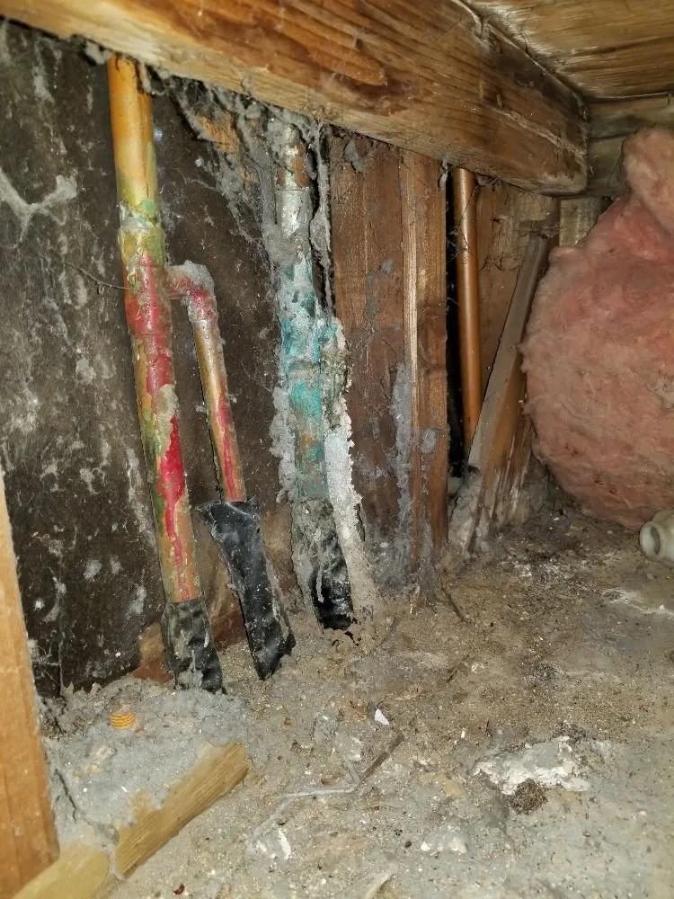 Affordable pipe repair experts serving Rancho Cucamonga, CA - Throne Kings Plumbing