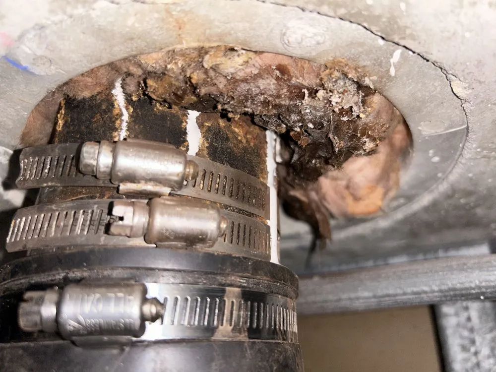 Slide of THS Plumbing